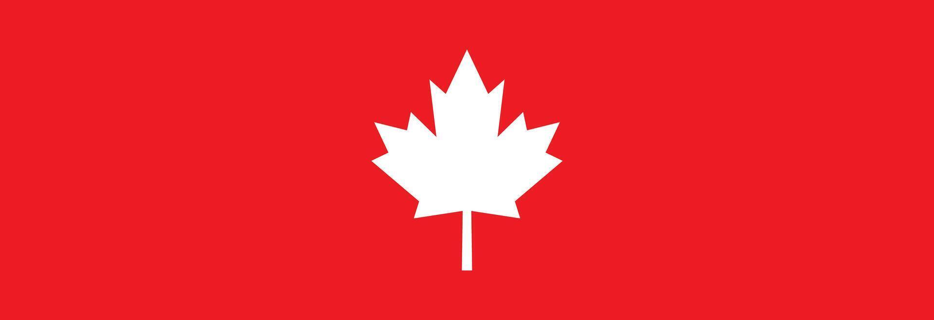 White maple leaf icon. vector