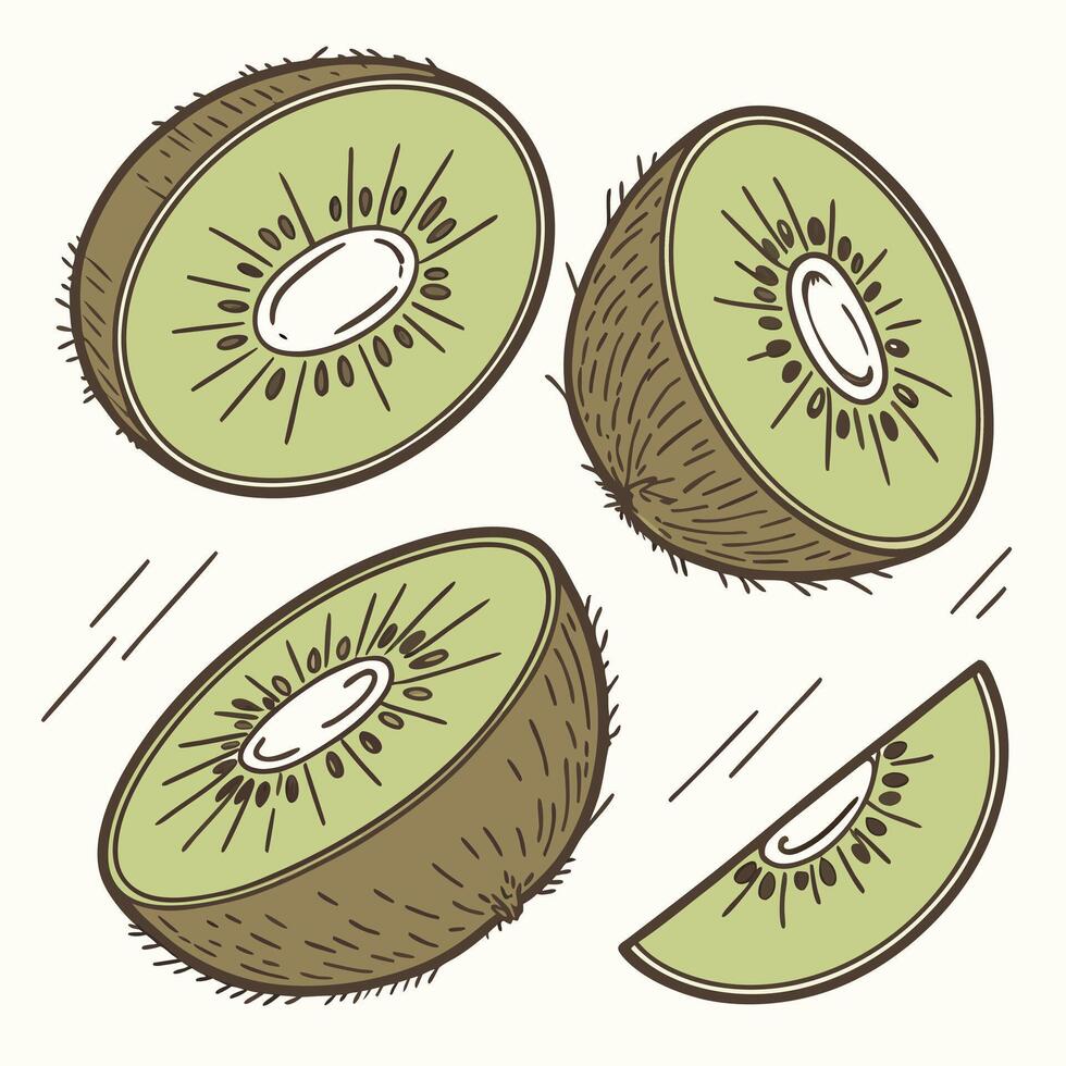 Collection of Kiwi In different perspectives vector