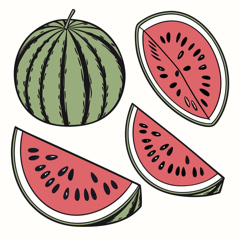 Collection of Watermelon slide In different perspectives vector
