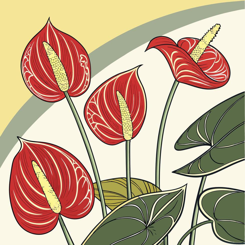 Collection set of Anthurium In different perspectives vector