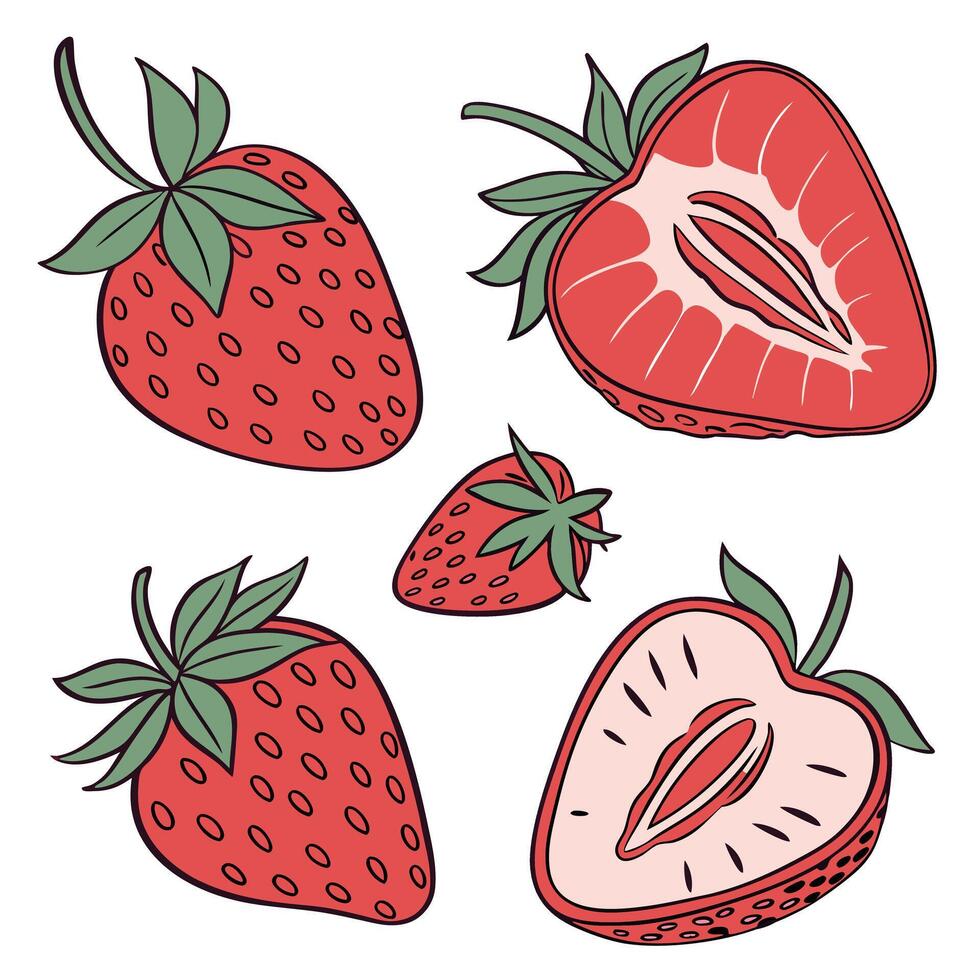 Collection set of Strawberry In different perspectives vector