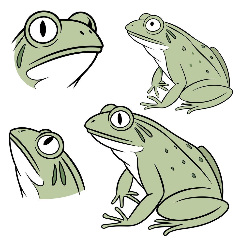 Illustration style of Collection set of Frog In different perspectives vector