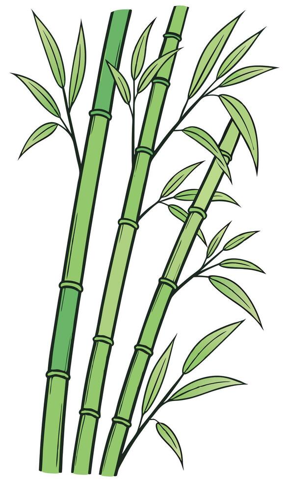 Illustration style, Three bamboo stalks with green leaves, light green and dark green gradient, black outlines, on a white background vector