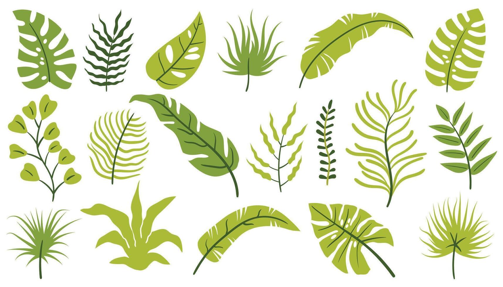 Set of tropical leaves and floral elements like palm, monstera, twigs, and branches in flat cartoon style. vector