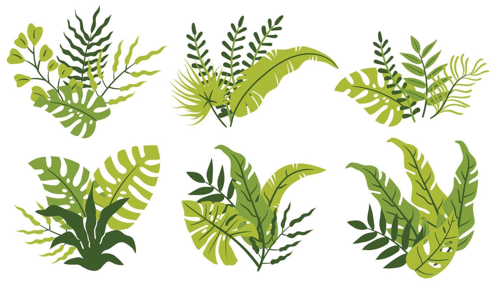 Set of still life compositions with palm, monstera, and other tropical leaves in flat cartoon style. vector