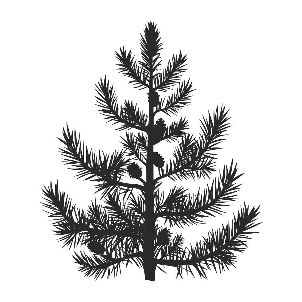 A black and white illustration of a pine tree vector