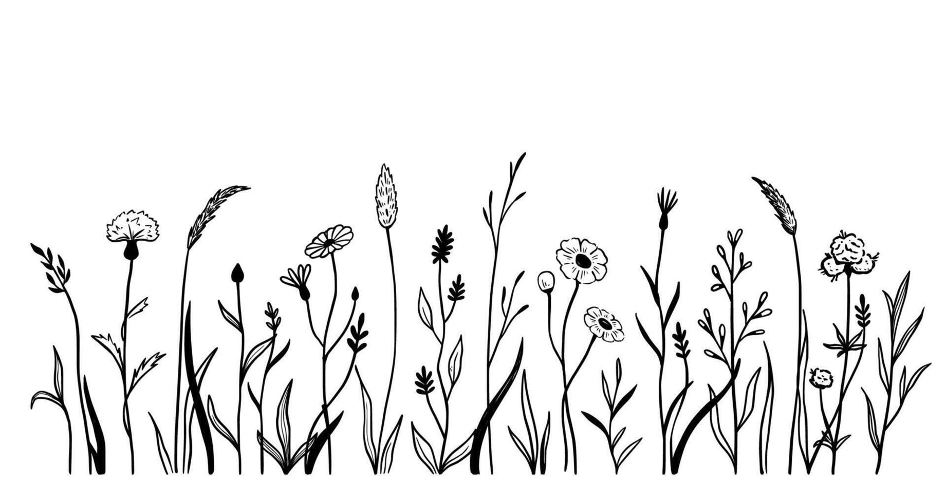 Wild field flower line set. Illustration flower field doodle vector