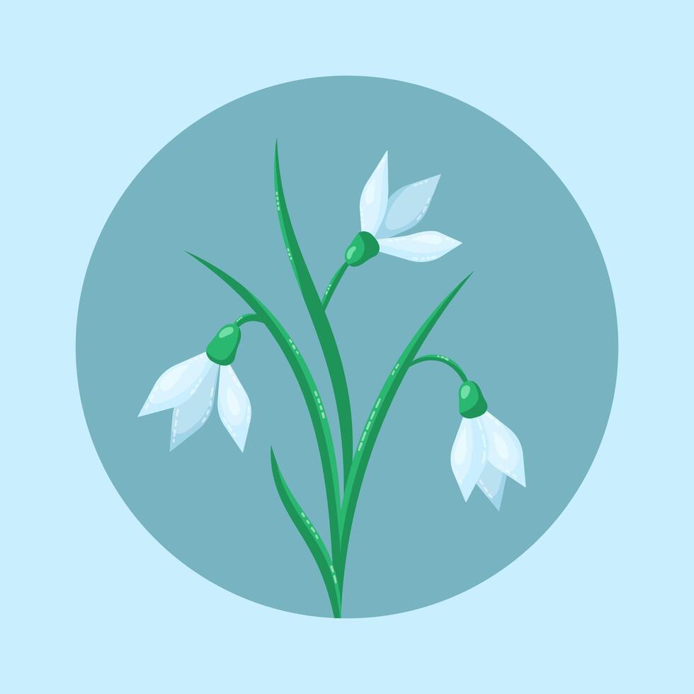 Spring flowers snowdrops in circle on blue background. Delicate floral greeting card. illustration. vector