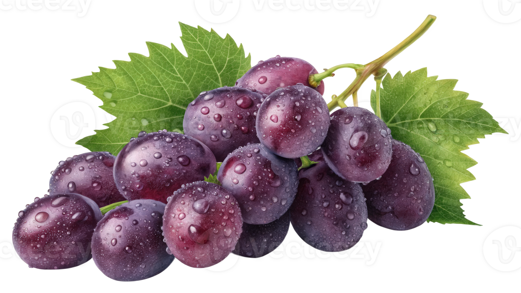 Ripe Grape Cluster Green Leaves png