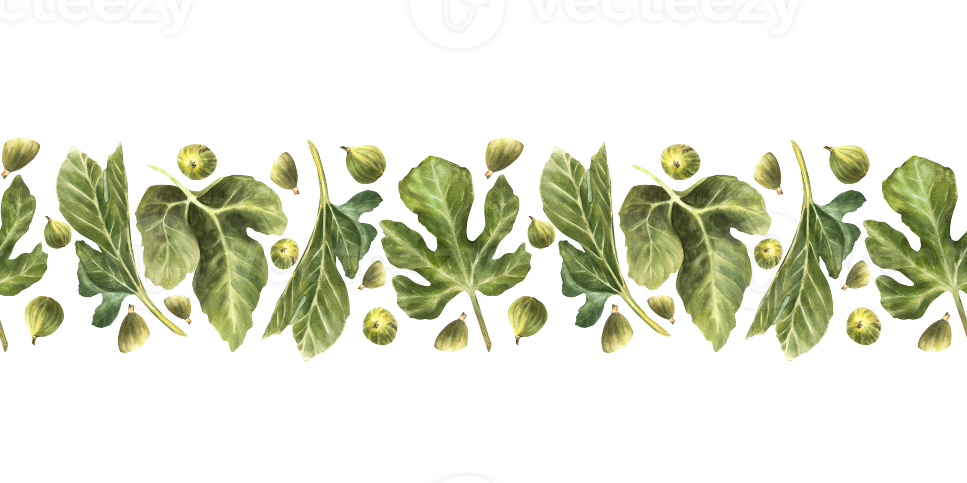 Watercolor fig and leaves seamless border. Realistic hand painted green plant botanical horizontal repeating pattern design for fabric, packaging Hand drawn illustration on Isolated background png
