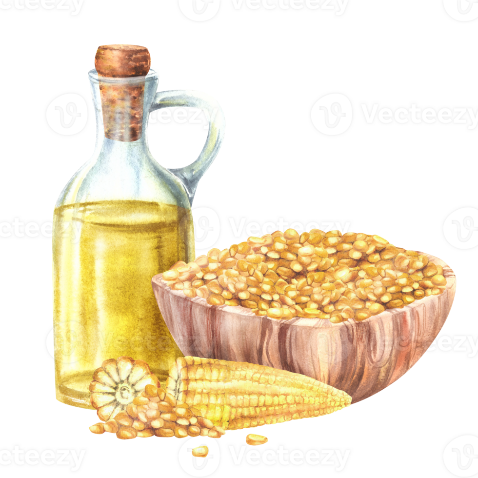 Glass bottle with corn oil. Watercolor corncobs and bowl with maize kernels seamless border. Wooden dishes with Fresh sweet corn. Hand drawn illustration for farm food label isolated from background png