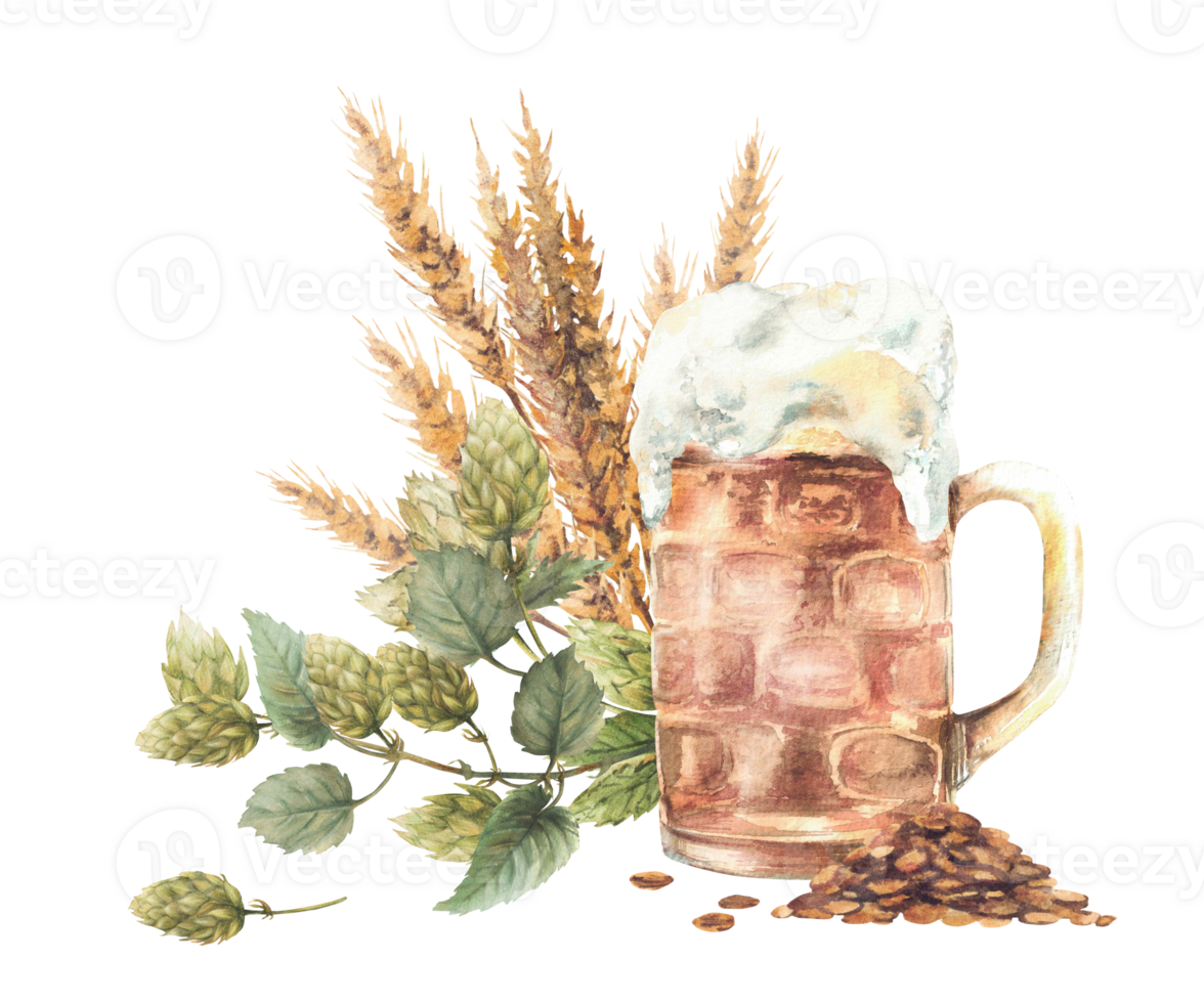 Beer mug with green hops branch, heap of malt with malt spike, ears. Watercolor light masses or litre of foamy lager drink with brewing ingredients. Food clipart. Hand drawn isolated illustration png