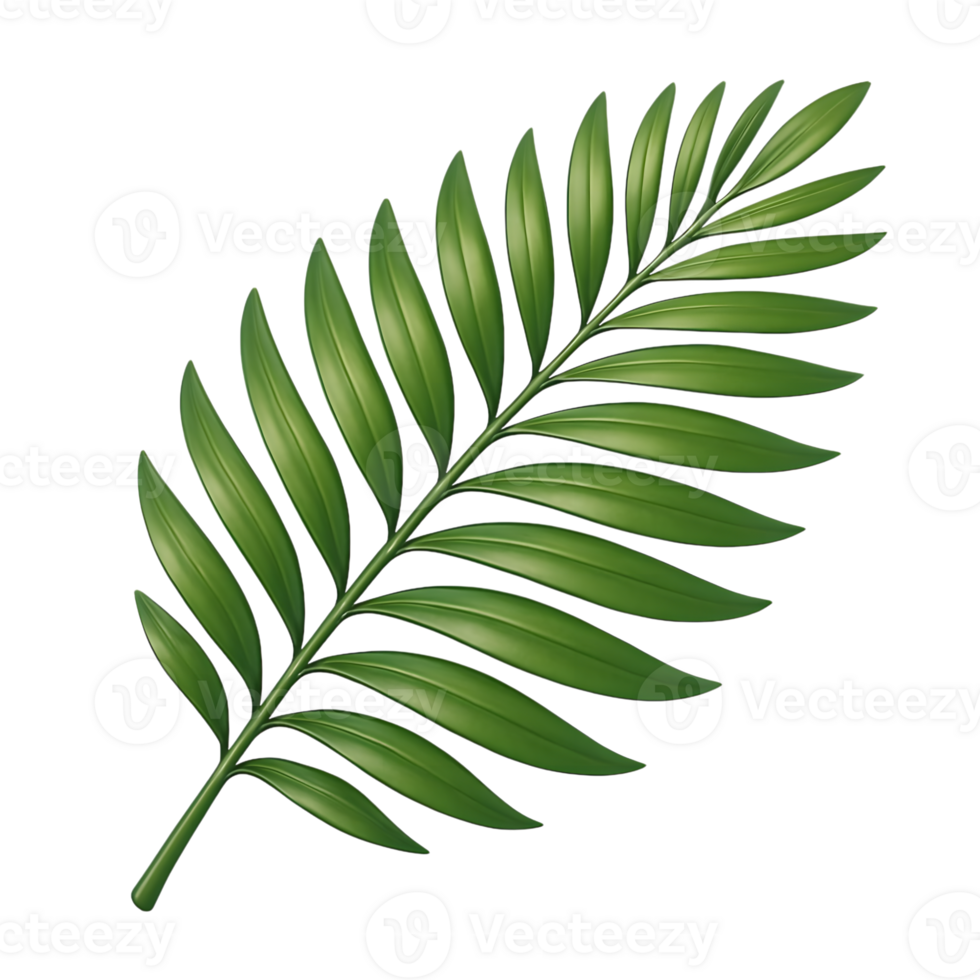 Realistic green palm leaf isolated on transparent background for decorative design elements png