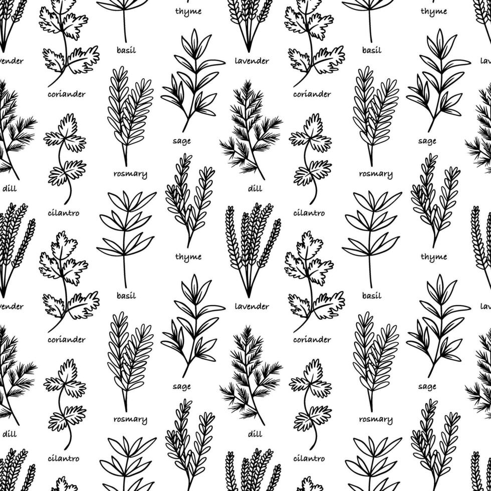 Cooking herbs and spices hand drawn seamless pattern vector