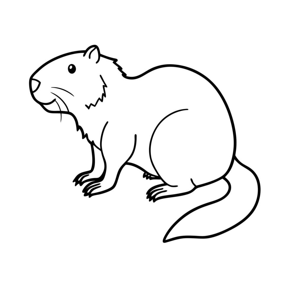 Swamp Beaver Outline vector
