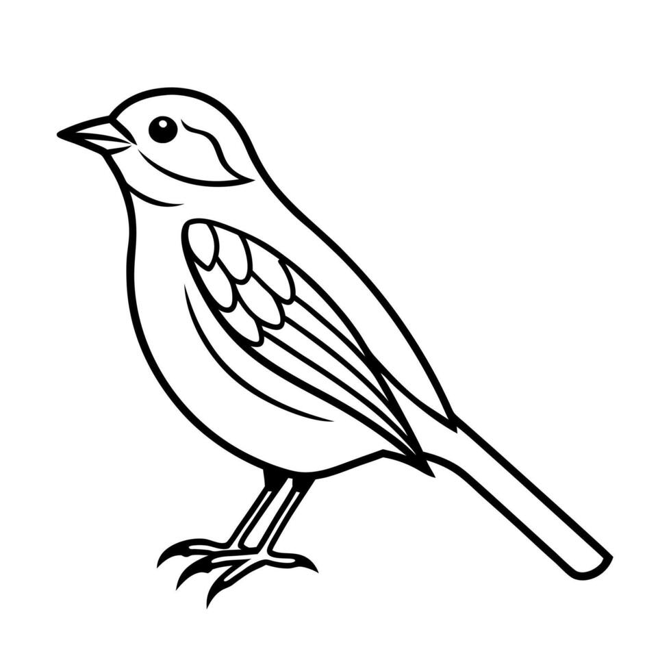 warbler outline line art vector