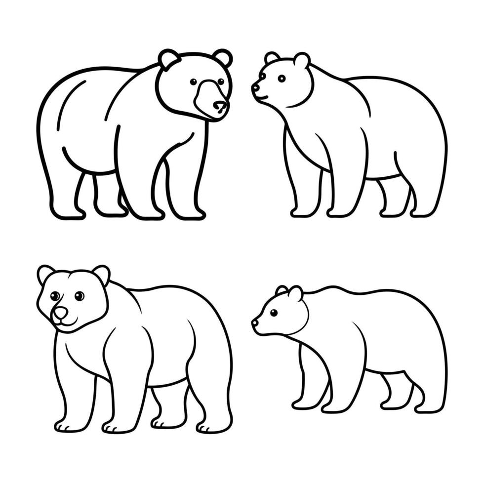 Bear Line Art Illustration vector