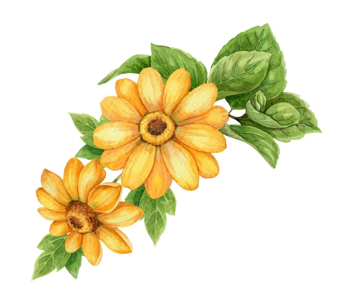 Yellow sunny flower small bouquet elongated arrangement. Hand drawn watercolor art with floral and leaf. Vacation vibe graphic element. Perfect for summer card template and holiday season design. vector