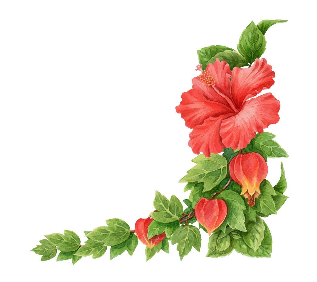 Abuchiron twig with red Hibiscus rose flower summer corner arrangement. Hand drawn watercolor botanical art. Floral graphic element perfect for botanical card template and holiday season design. vector