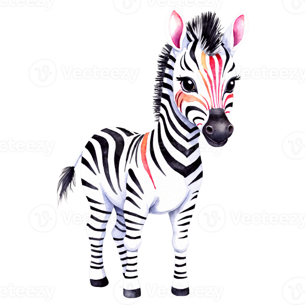 watercolor, cute Zebra animal, clipart png