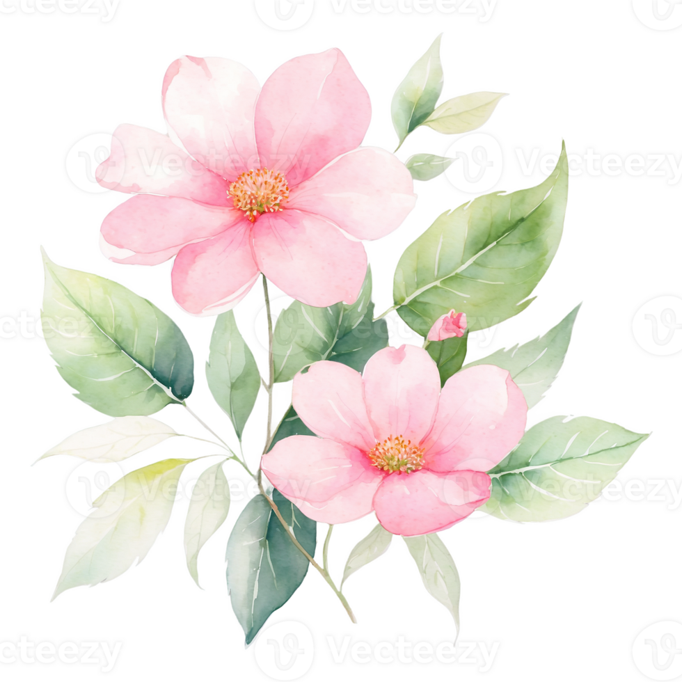 Pink Flowers with Leaves in Watercolor png