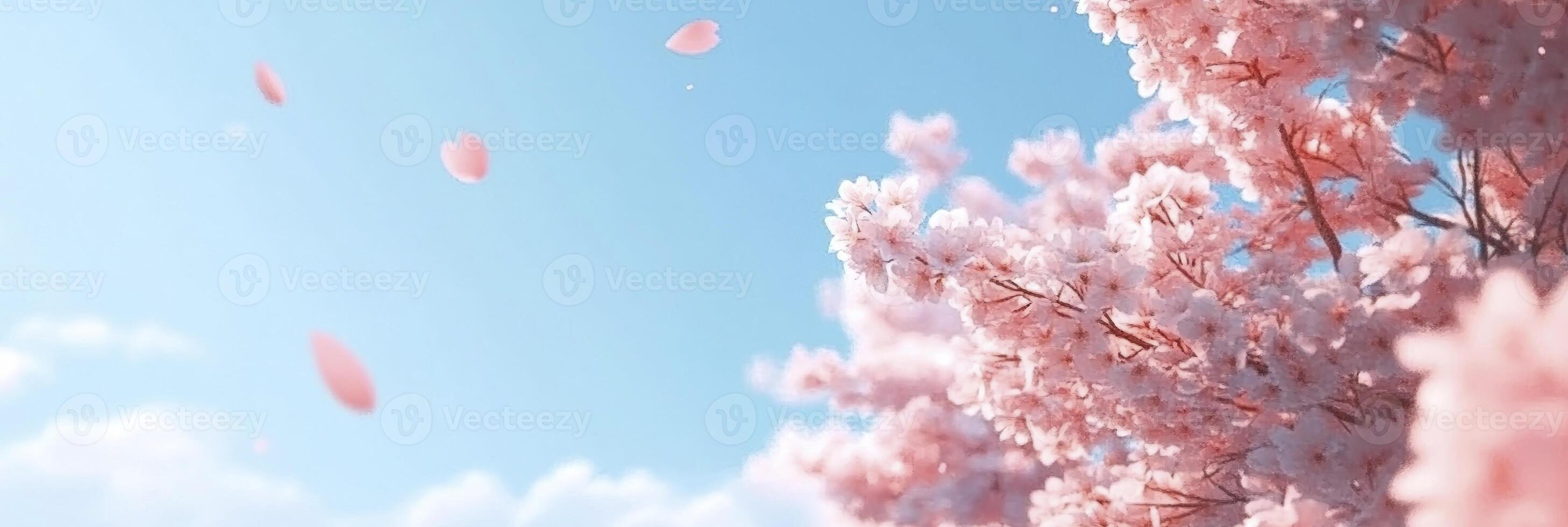 Spring cherry blossom on a blue sky background, with ample copy space. photo