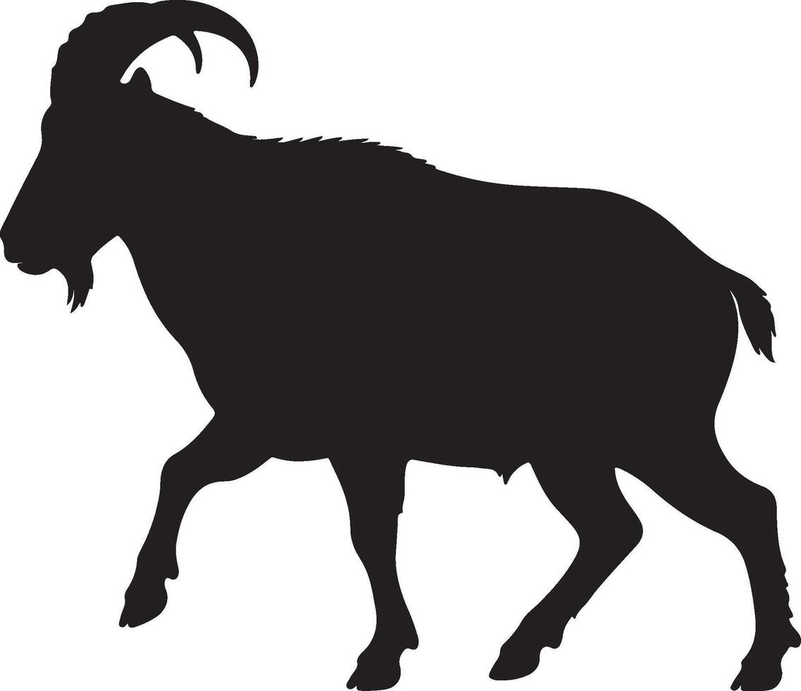 Goat silhouette on white background vector