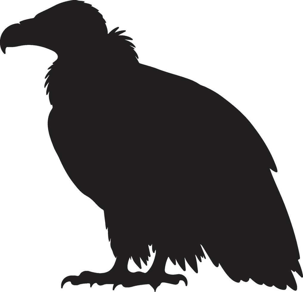 Vulture silhouette illustration vector