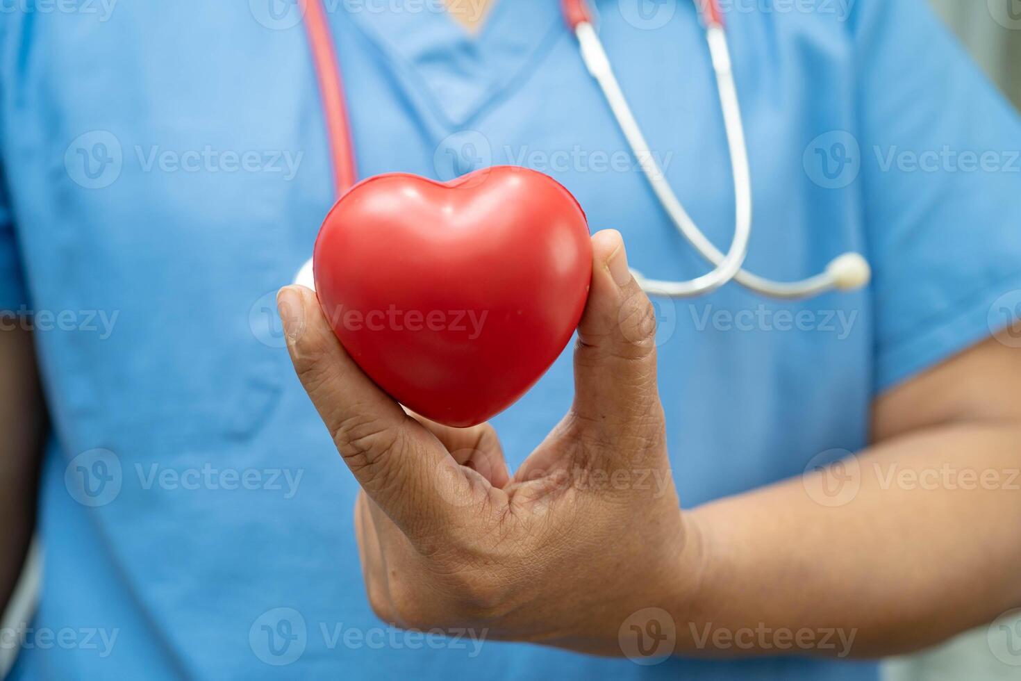 woman doctor holding red heart for health in hospital. photo