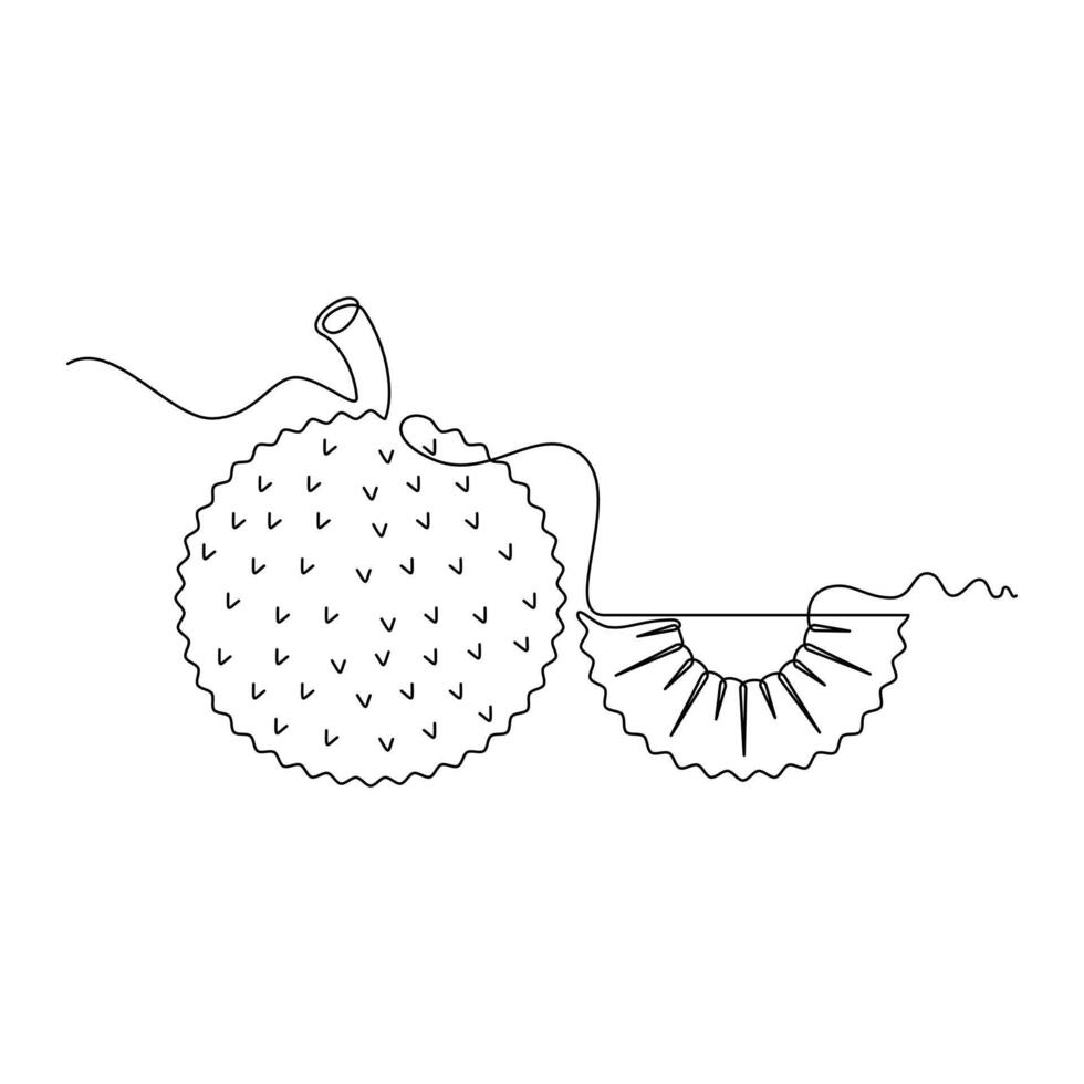 one line art Breadfruit illustration. line art, one continuous line, simple, hand drawn and sketch style. for icons, symbols, signs or logos vector