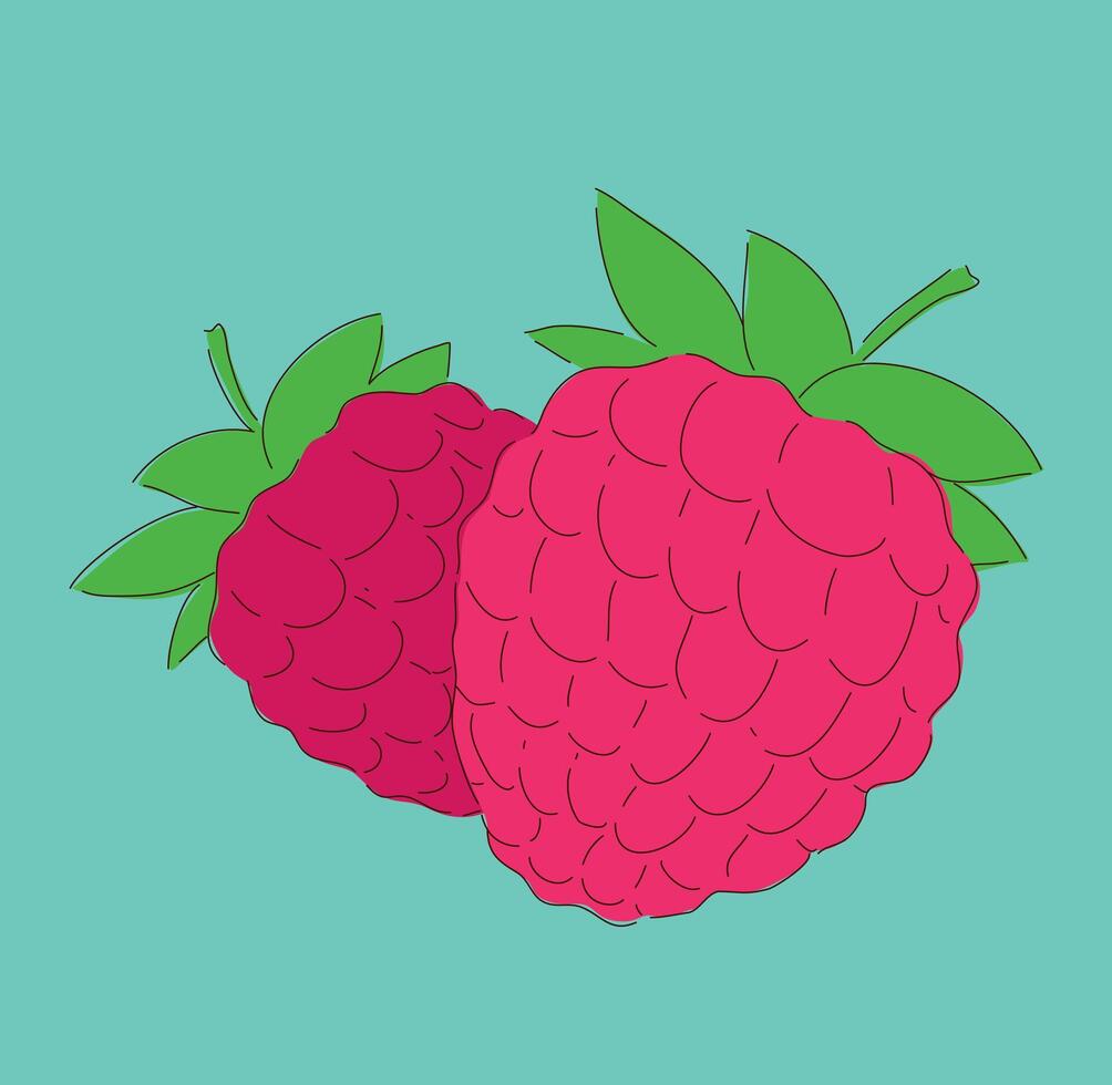 Fresh Raspberries on a Bright and Colorful Background Perfect for Various Uses and Occasions vector