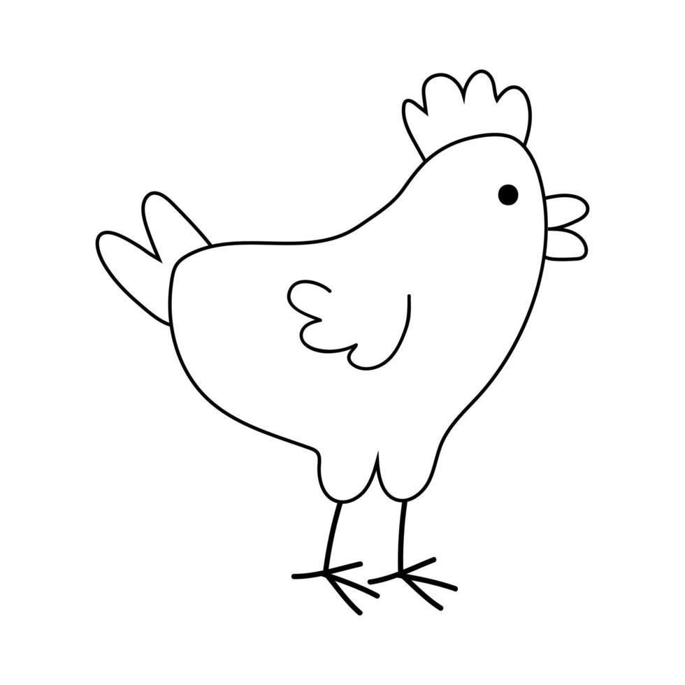 Simple drawing of a cartoon chicken with a round body and small wings standing on a white background vector