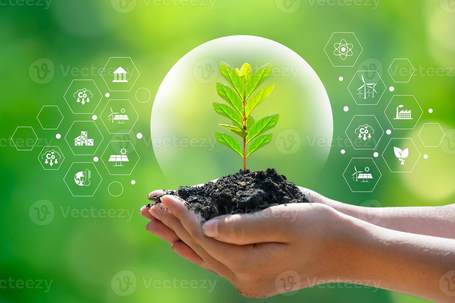 environment Earth Day In the hands of trees growing seedlings. Bokeh green Background. Female hand holding tree on nature field grass Forest conservation concept photo