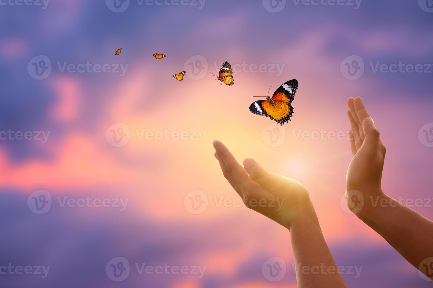 flying butterfly and hands on abstract sunny natural background. end of summer concept. freedom. encounter man and nature. harmony, peaceful atmosphere landscape photo