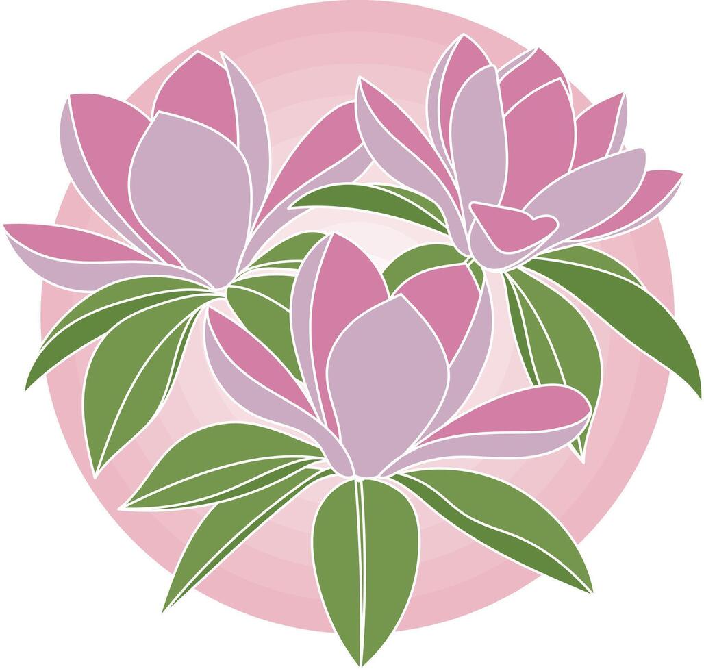 Illustration of magnolia flower with leaf on pink circle background. vector