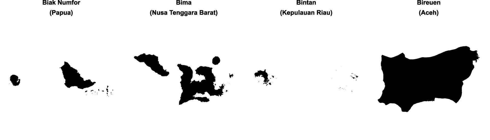 Biak Numfor, Bima, Bintan, Bireuen outline maps vector