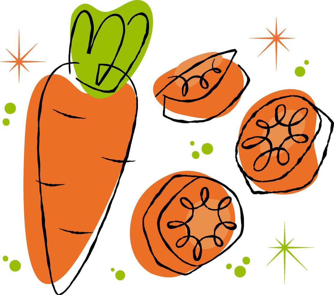 Retro style carrot illustration and sliced carrot pieces with decorative elements on transparent background for healthy food concept. vector