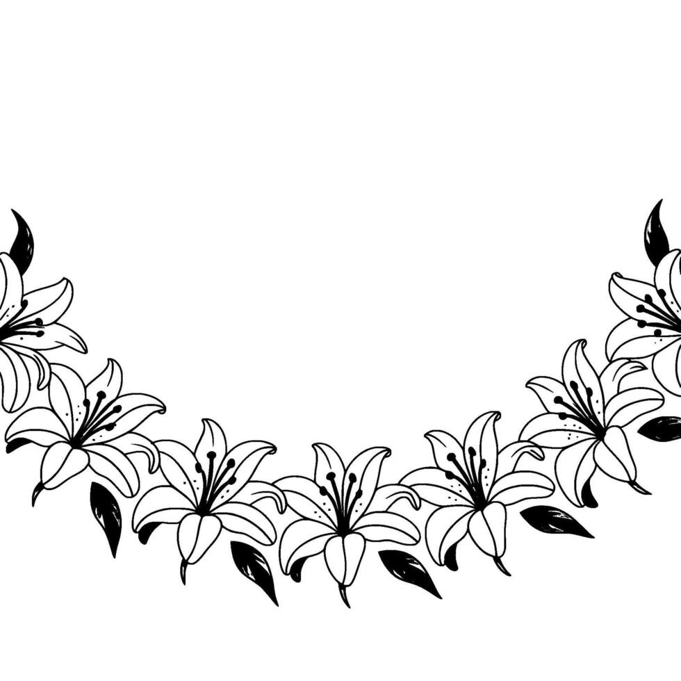 Elegant Lily Border Floral On White Background vector