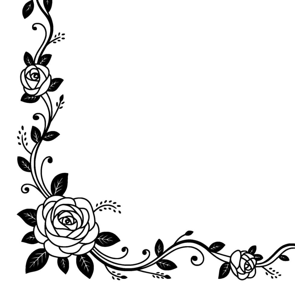 Elegant Black Rose Corner Border, Floral On White vector
