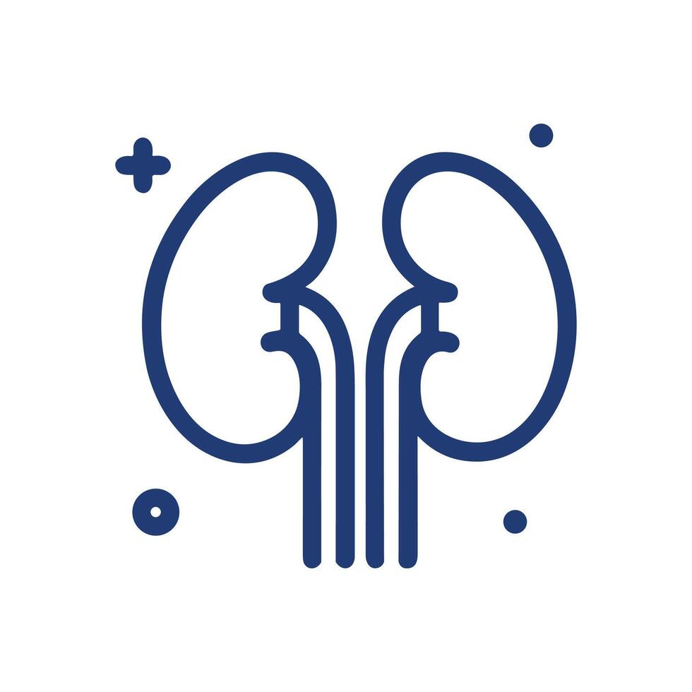Kidney drawing with plus sign dots. Icon symbol illustration vector