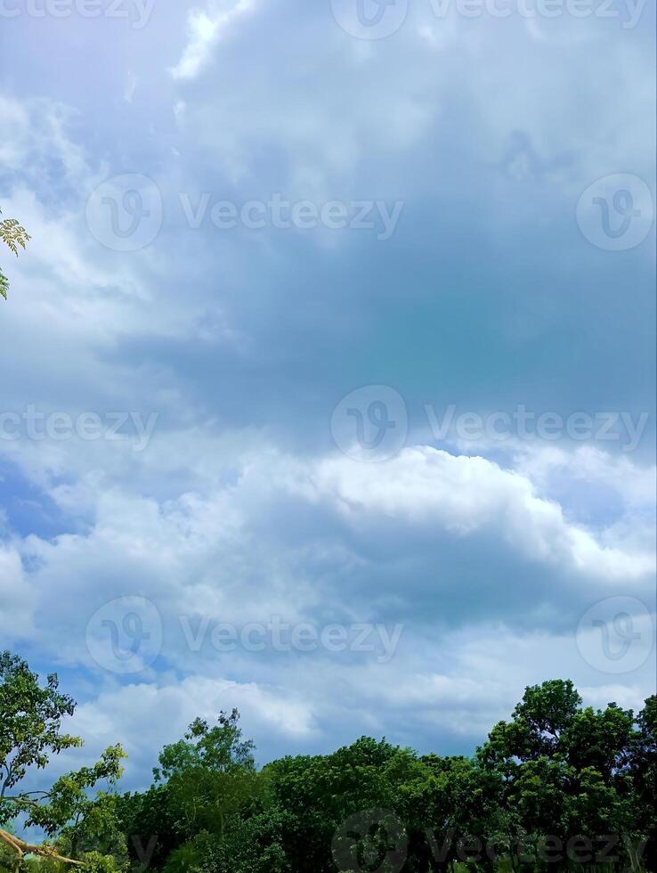Sky View with Clouds and Green Trees photo