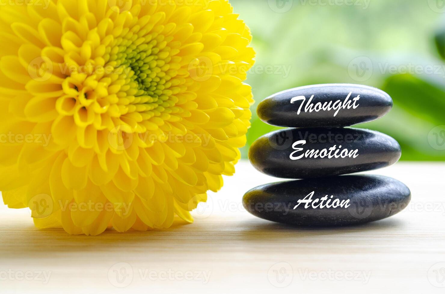 Thought, Emotion and Action text on zen stones with blooming yellow flower photo