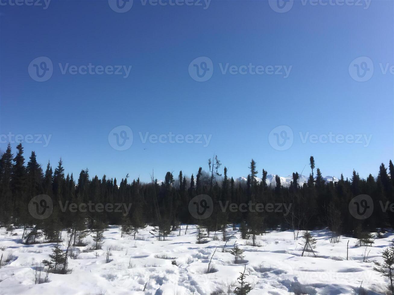 photo, landscape nature, winter snow, landscape photo