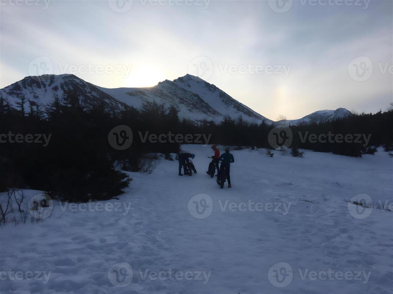 photo, landscape, nature, winter, snows landscape photo