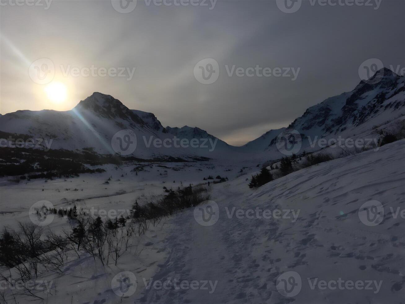 photo, landscape, nature winter snow landscape. photo