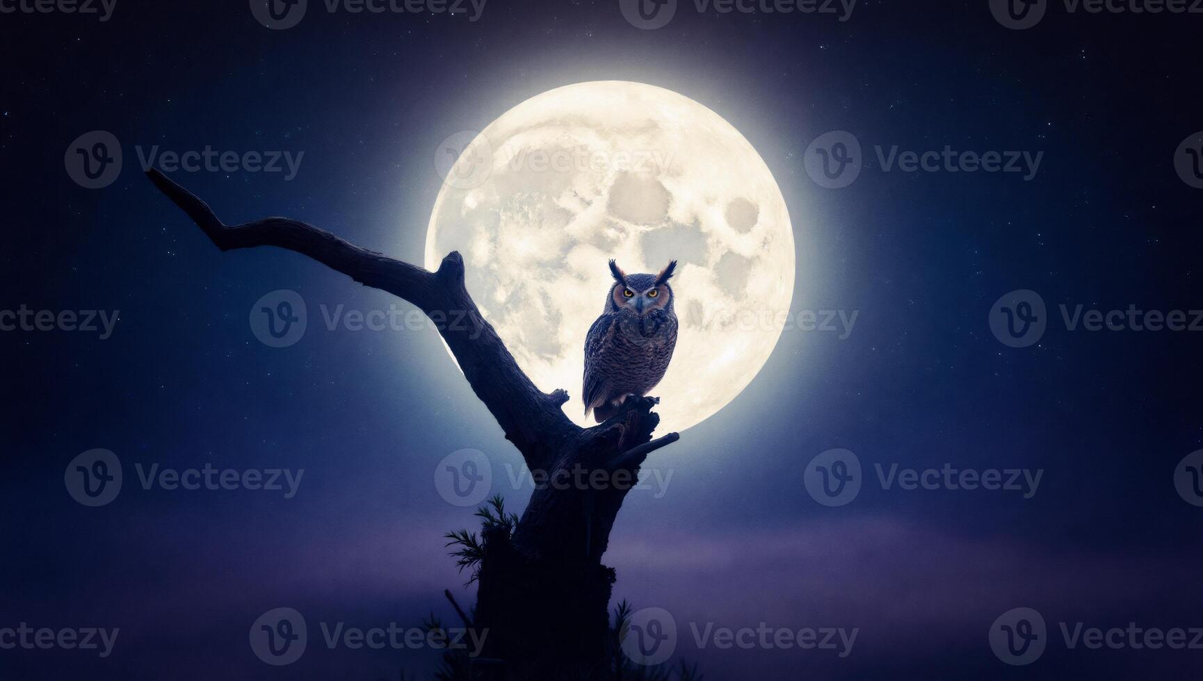 Owl on tree branch at night with moon in background photo