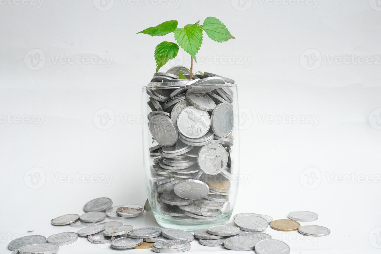 Coins rupiah with growing plant in glass on white background. Money savings concept photo