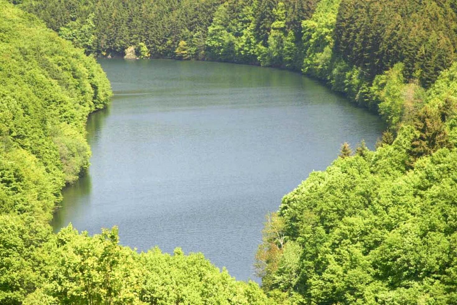 a lake surrounded by trees in the middle of a forest photo