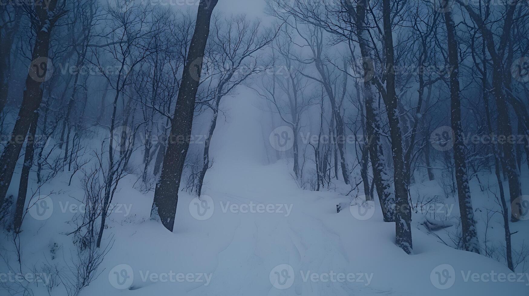 A snowy forest with trees and snow photo