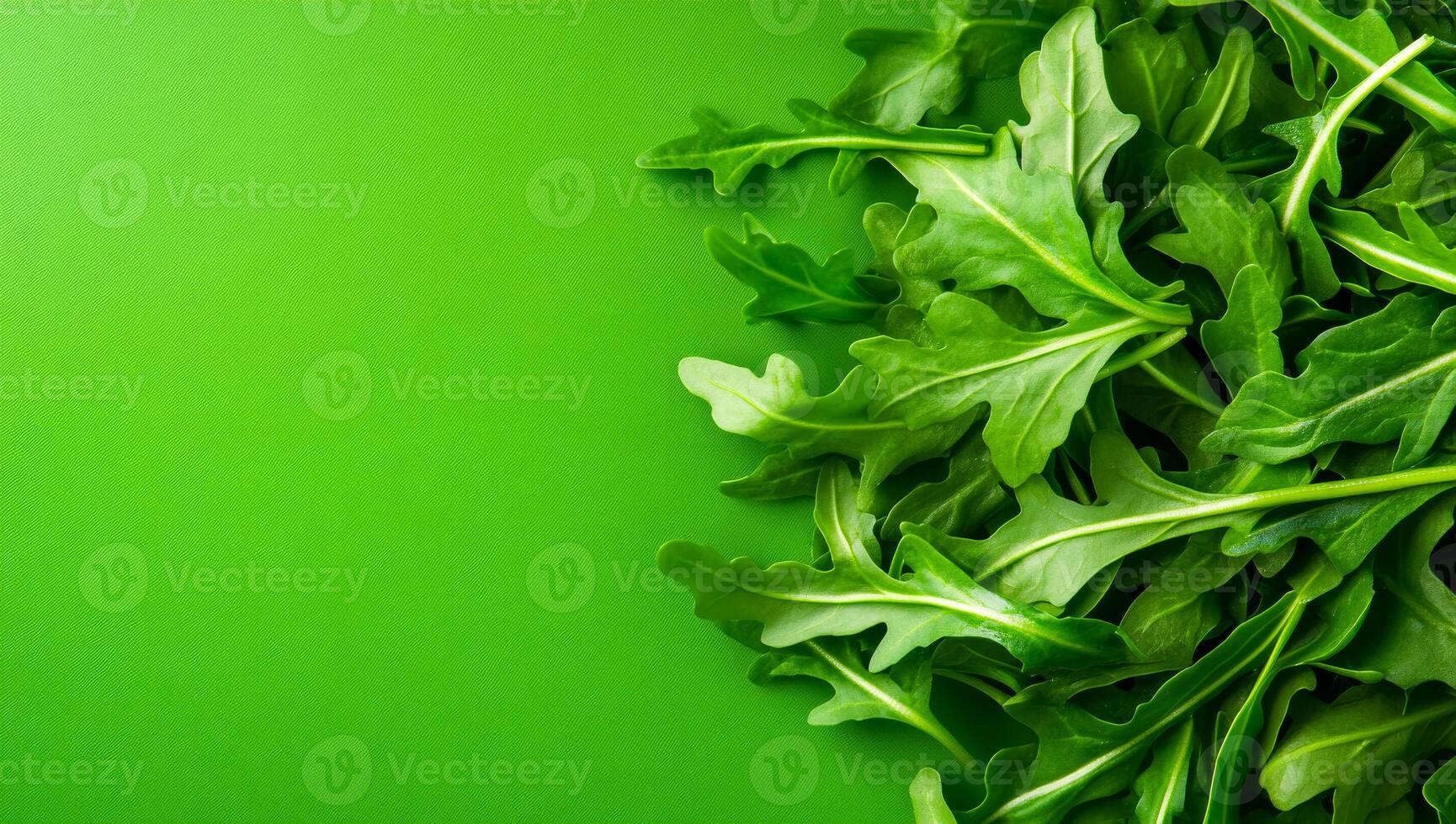 Fresh arugula for salad. Crisp arugula leaves are arranged on a vibrant green background, perfect for adding flavor to dishes. photo